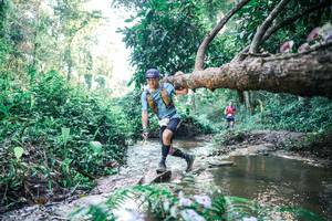 BIB: 
                            <button type="button" onclick="openModal(25434343)" class="btn btn-primary btn-sm float-right btn-popup" data-toggle="modal" data-target=".modal-high-quality">
                        <i class="fas fa-shopping-cart"></i> Add to Cart
                    </button>
                                            <button type="button" onclick="isThisMe(25434343, true)" class="btn btn-success btn-sm float-right btn-popup btn-isme hidden" data-toggle="tooltip" data-placement="bottom" title="นี่คือรูปของคุณใช่ไหม คลิกที่นี่เพื่อเอาเข้าอัลบั้ม">
                        <i class="fas fa-plus"></i> Add to album
                    </button>
                    <button type="button" onclick="isThisMe(25434343, false)" class="btn btn-warning btn-sm float-right btn-popup btn-isnotme hidden">
                        <i class="fas fa-ban"></i> Remove from album
                    </button>